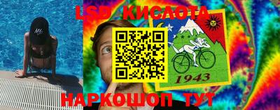 дмт Краснодар