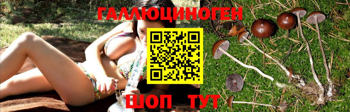 Галлюциногенные грибы Magic Shrooms Усинск